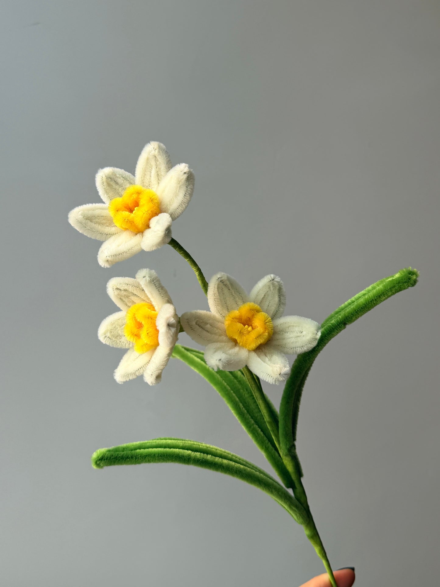 Narcissus Pipe Cleaner Flower