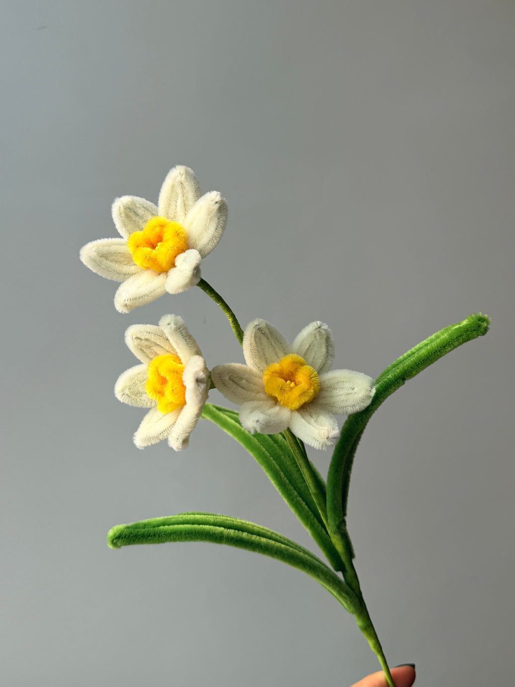 Narcissus Pipe Cleaner Flower