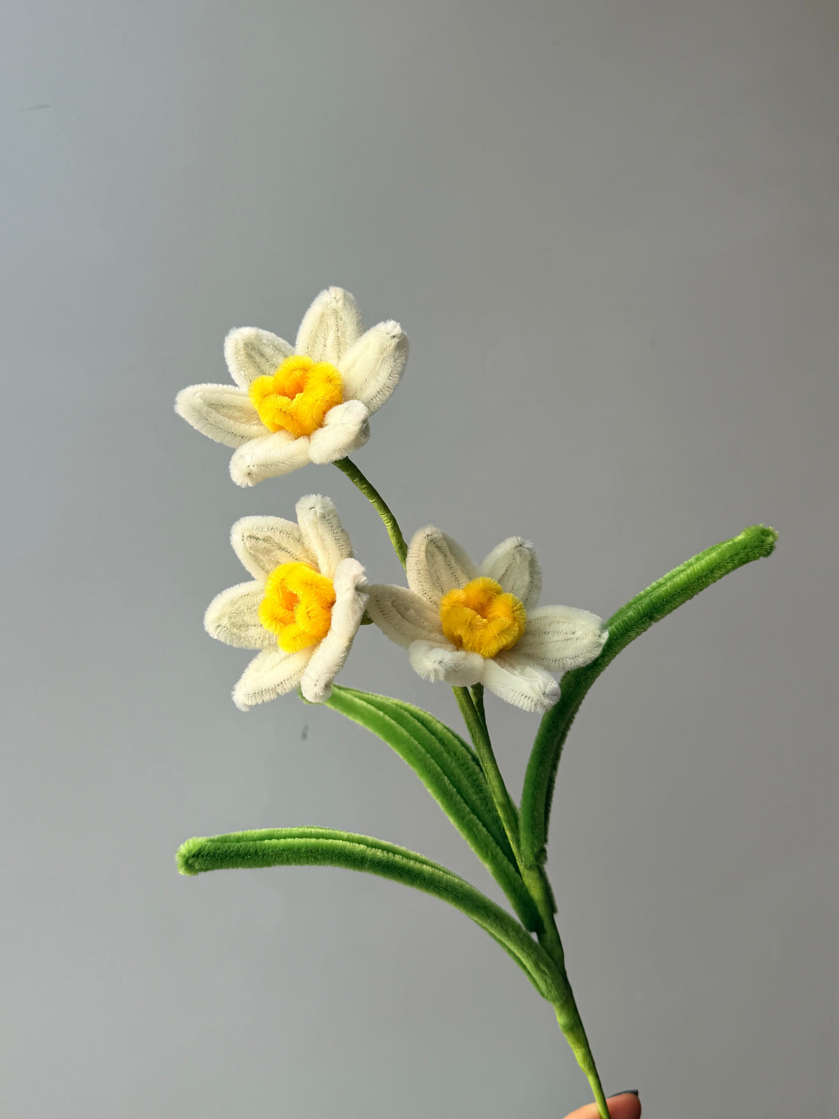 Narcissus Pipe Cleaner Flower