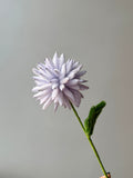Ping Pong Chrysanthemum Pipe Cleaner Flower