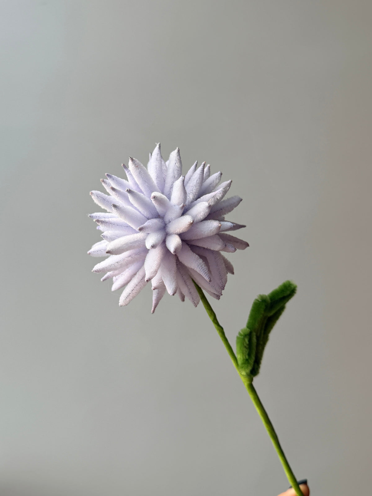 Ping Pong Chrysanthemum Pipe Cleaner Flower