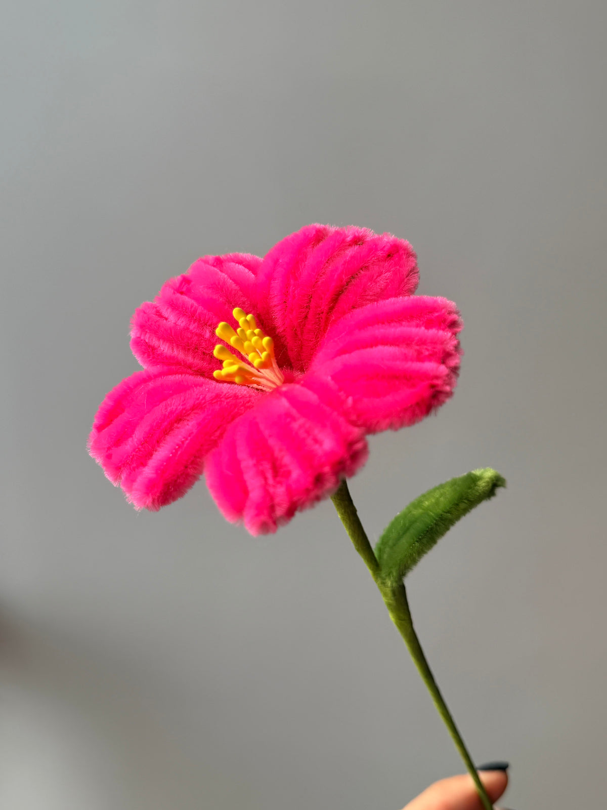 Hibiscus Pipe Cleaner Flower