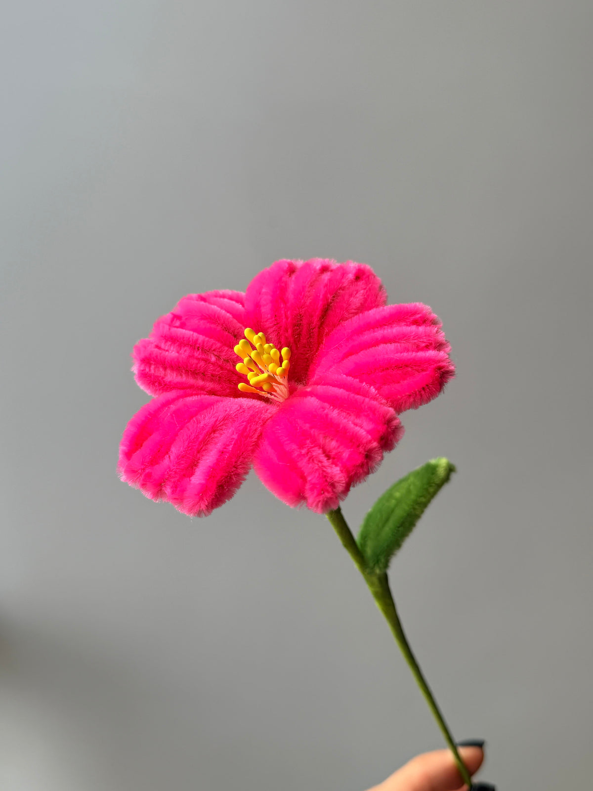 Hibiscus Pipe Cleaner Flower