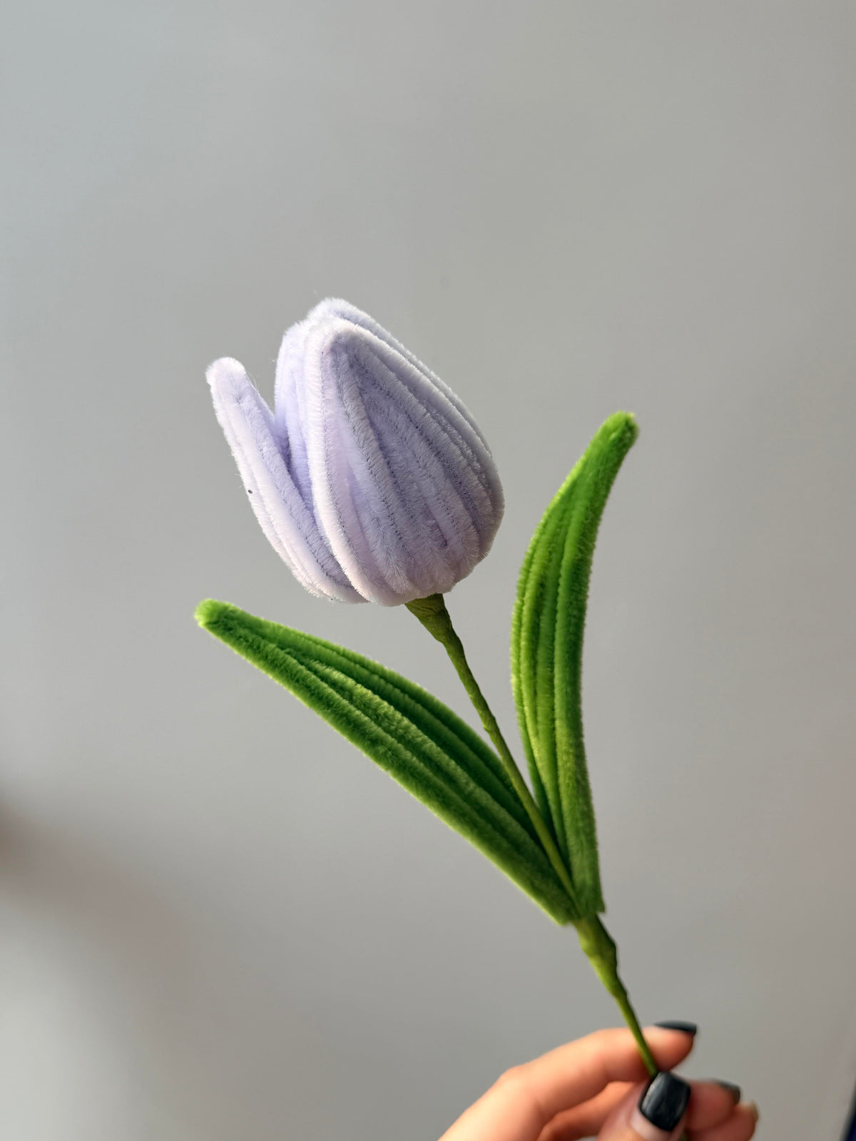 Regular Tulip Pipe Cleaner Flower
