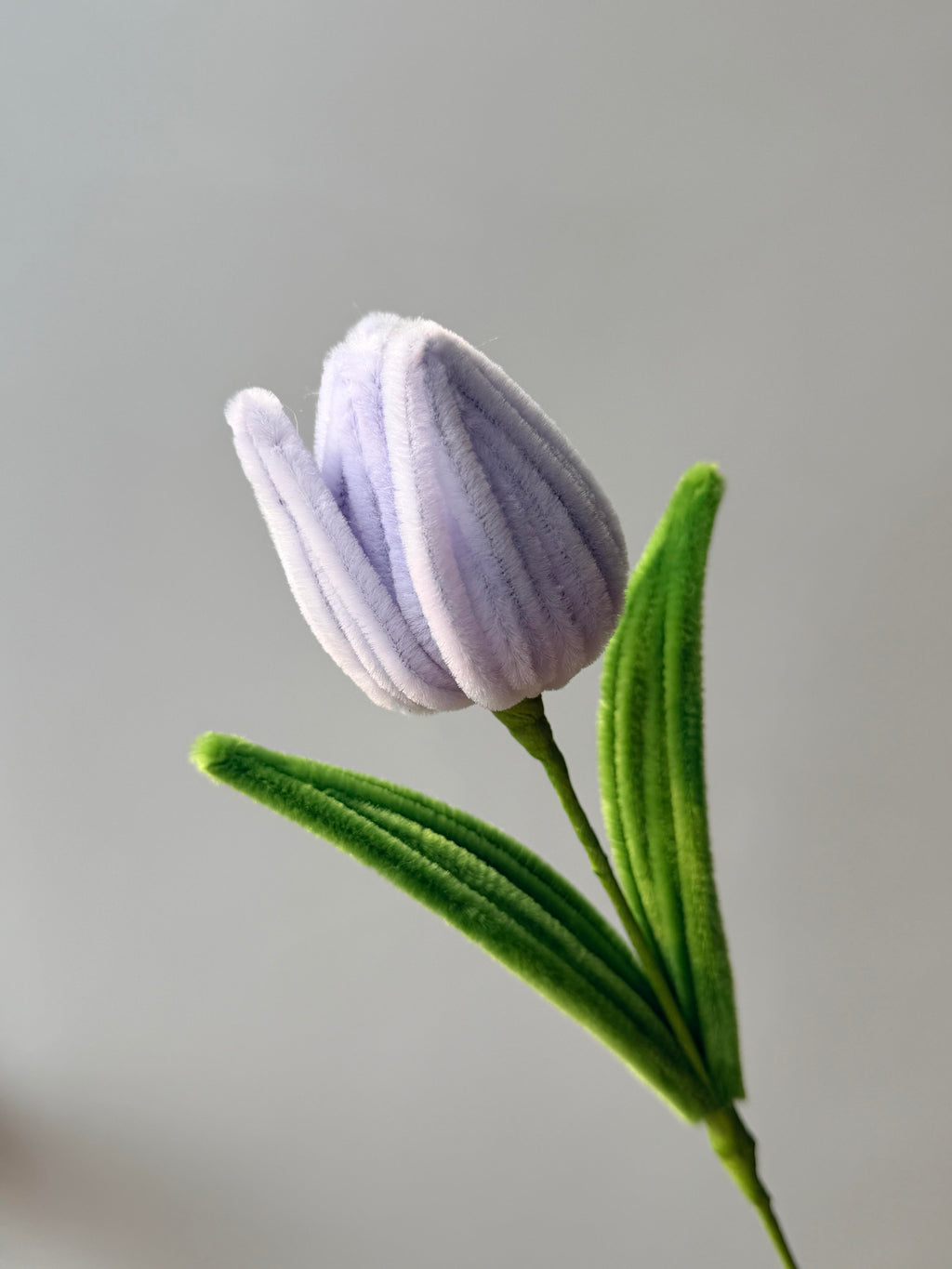 Regular Tulip Pipe Cleaner Flower