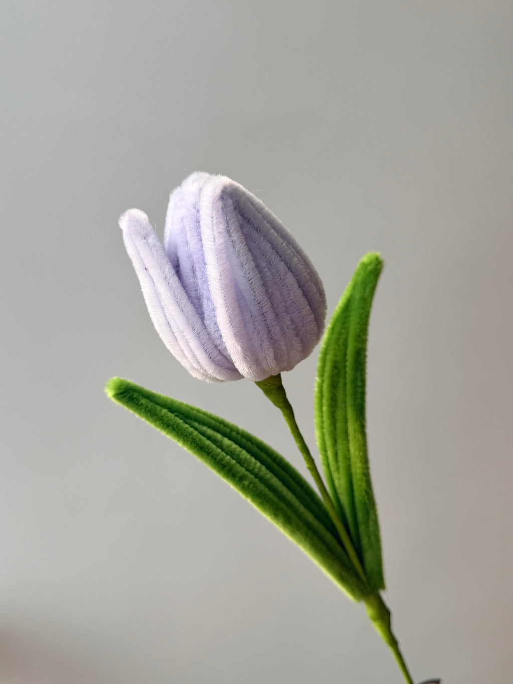 Regular Tulip Pipe Cleaner Flower