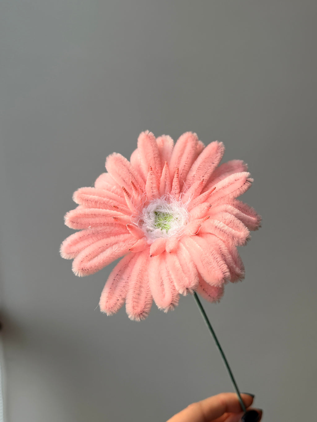 Gerbera Daisy Pipe Cleaner Flower