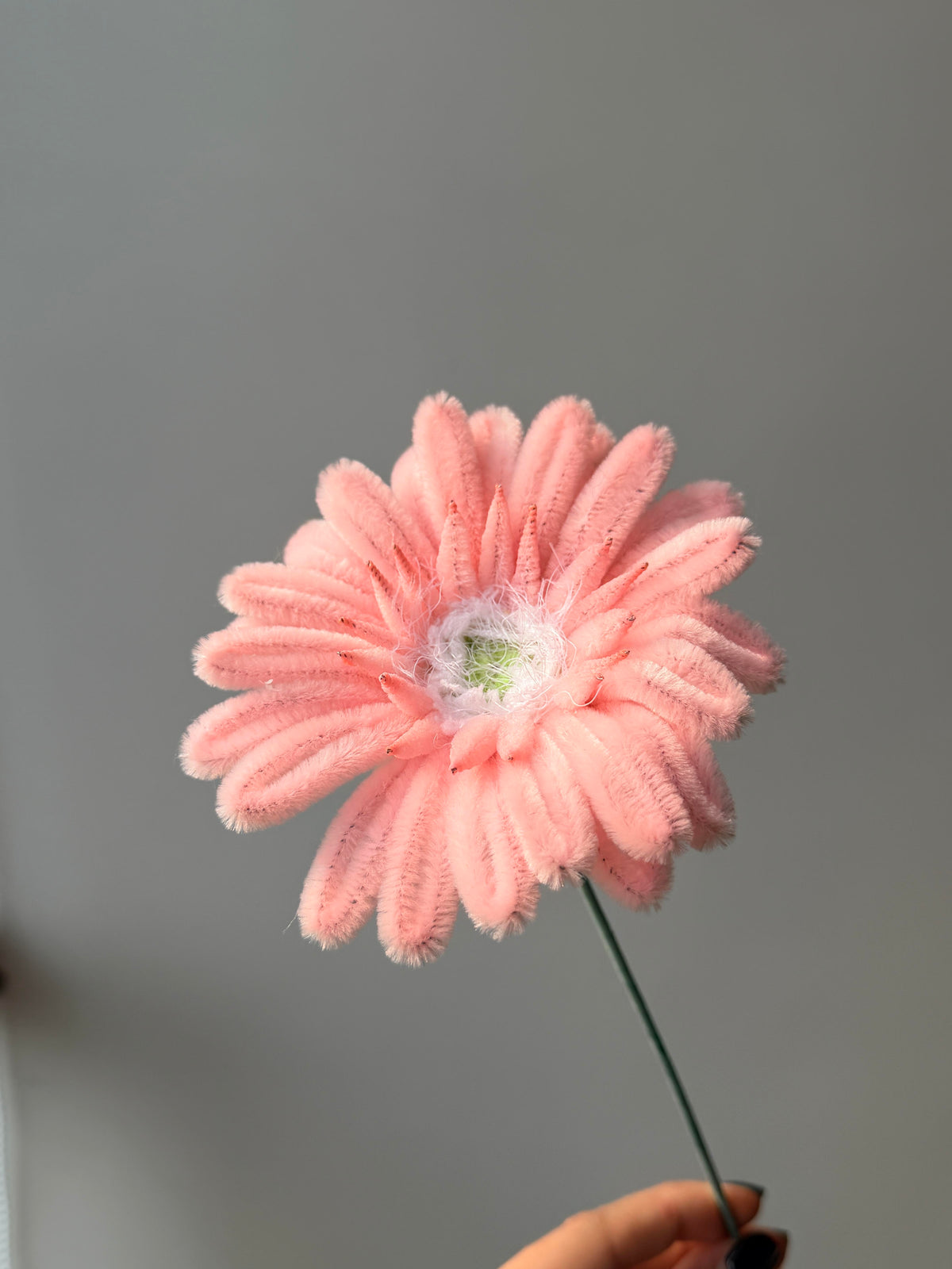 Gerbera Daisy Pipe Cleaner Flower