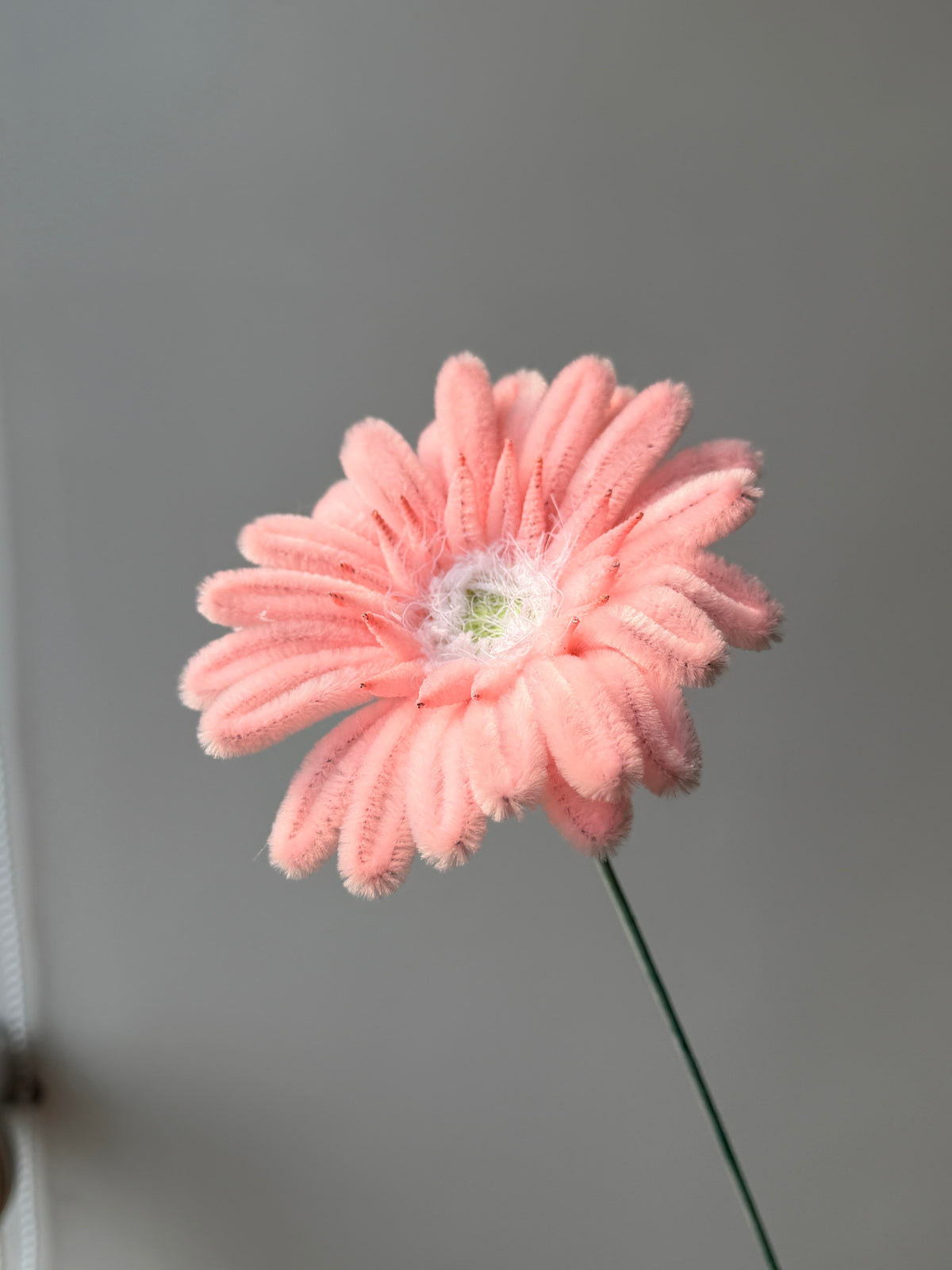 Gerbera Daisy Pipe Cleaner Flower