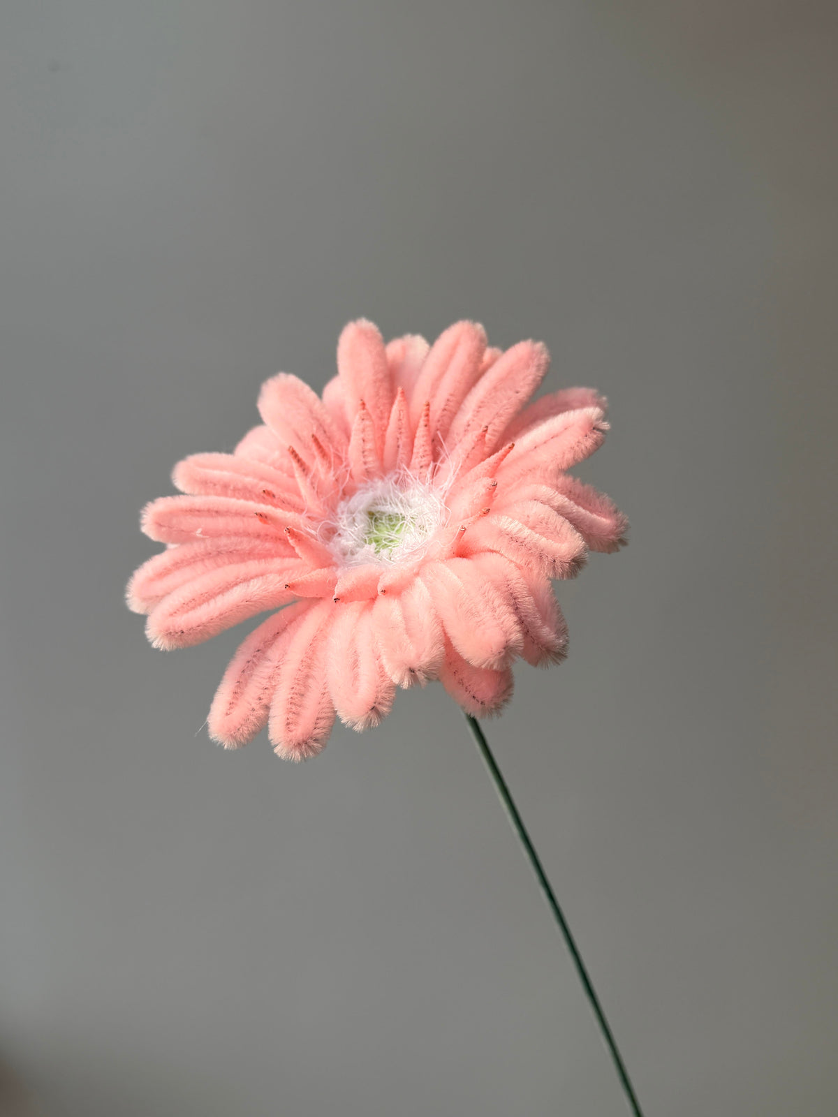 Gerbera Daisy Pipe Cleaner Flower