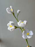 Winter Jasmine Pipe Cleaner Flower
