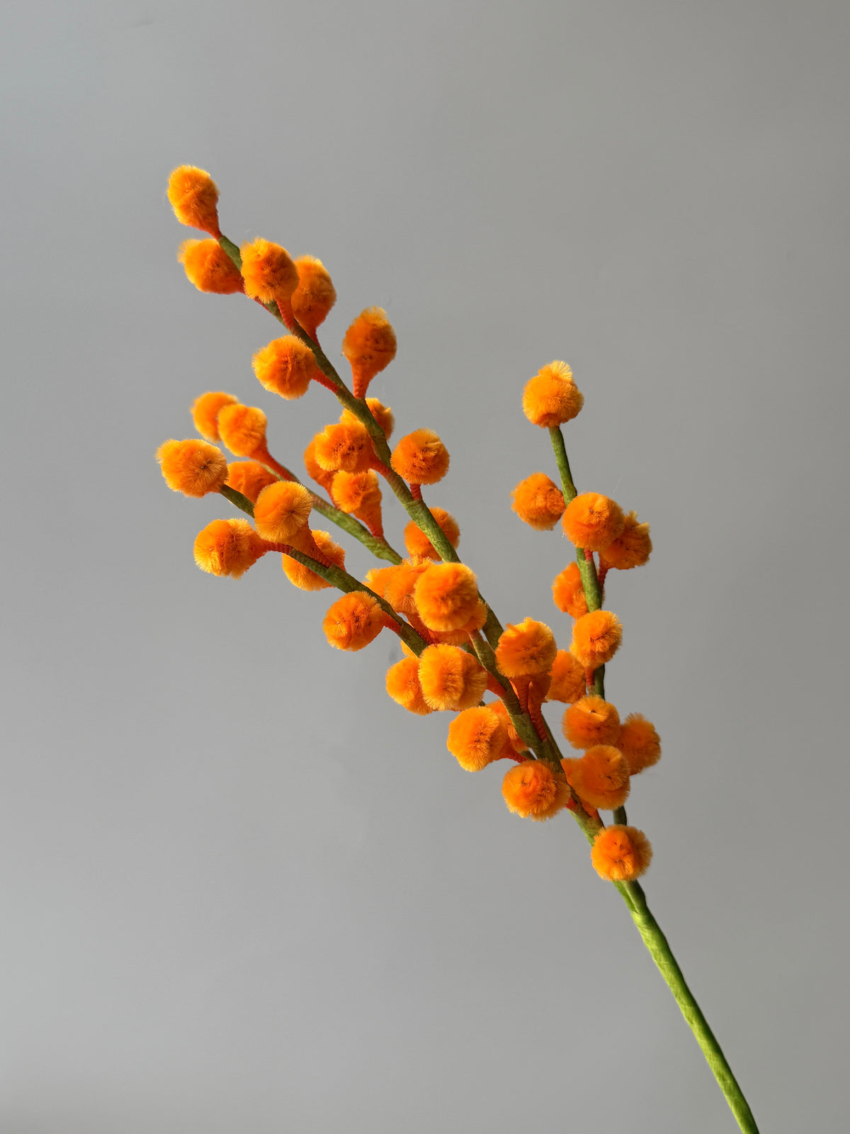 Mimosa Pipe Cleaner Flower