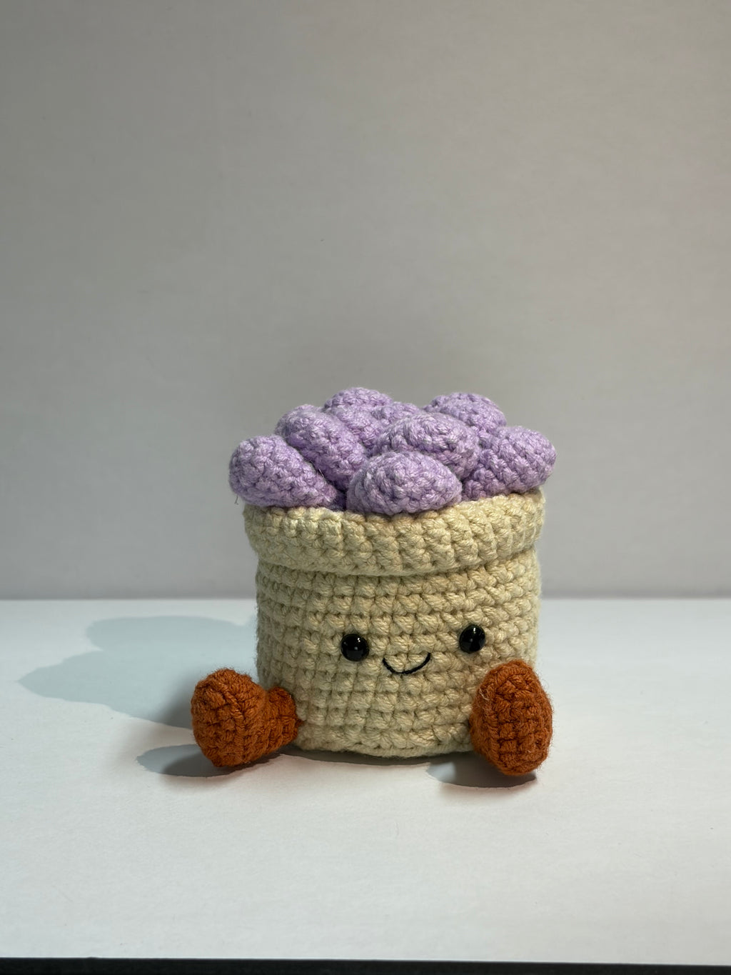 Crochet Succulent Smile Pot