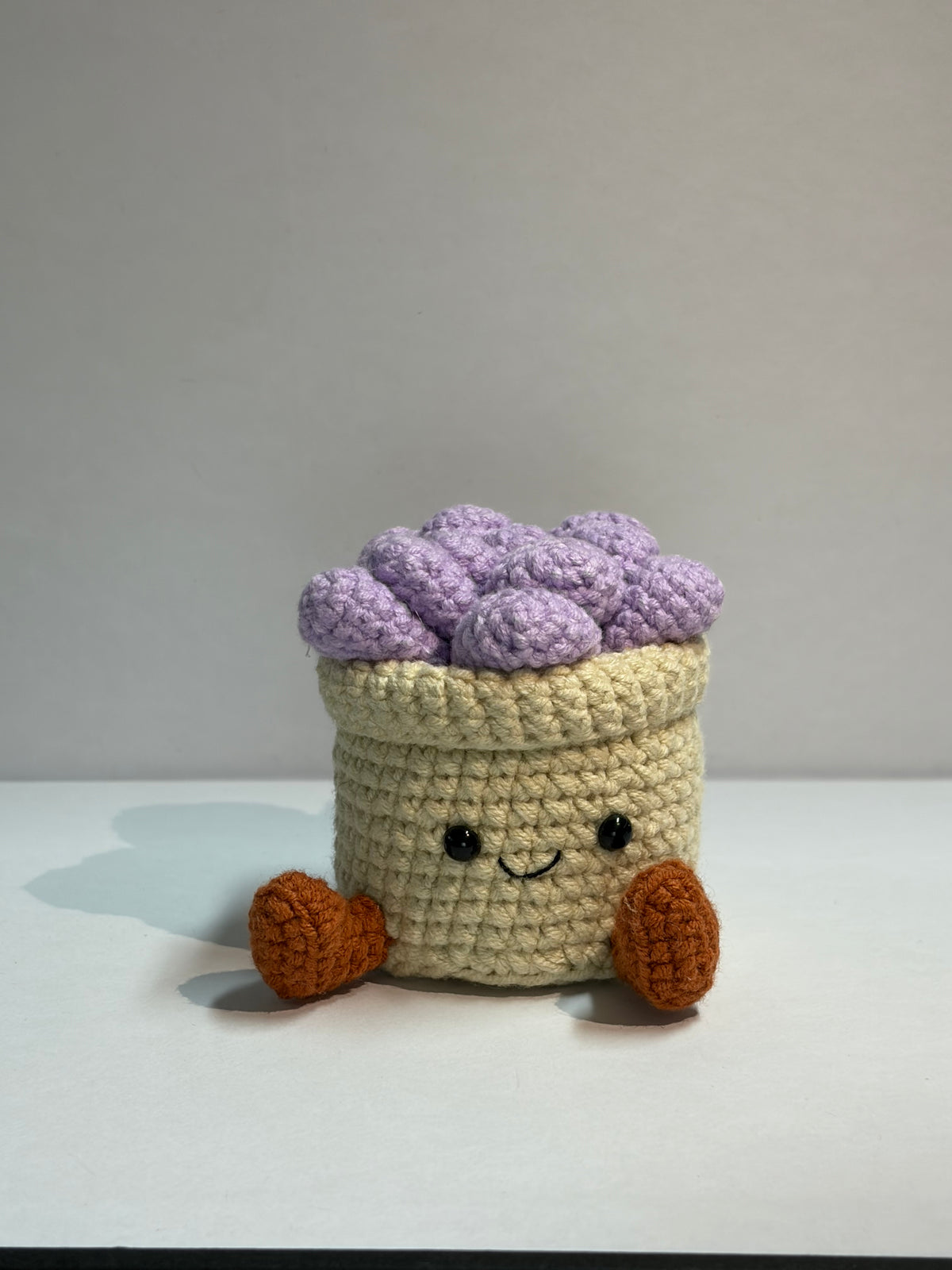 Crochet Succulent Smile Pot