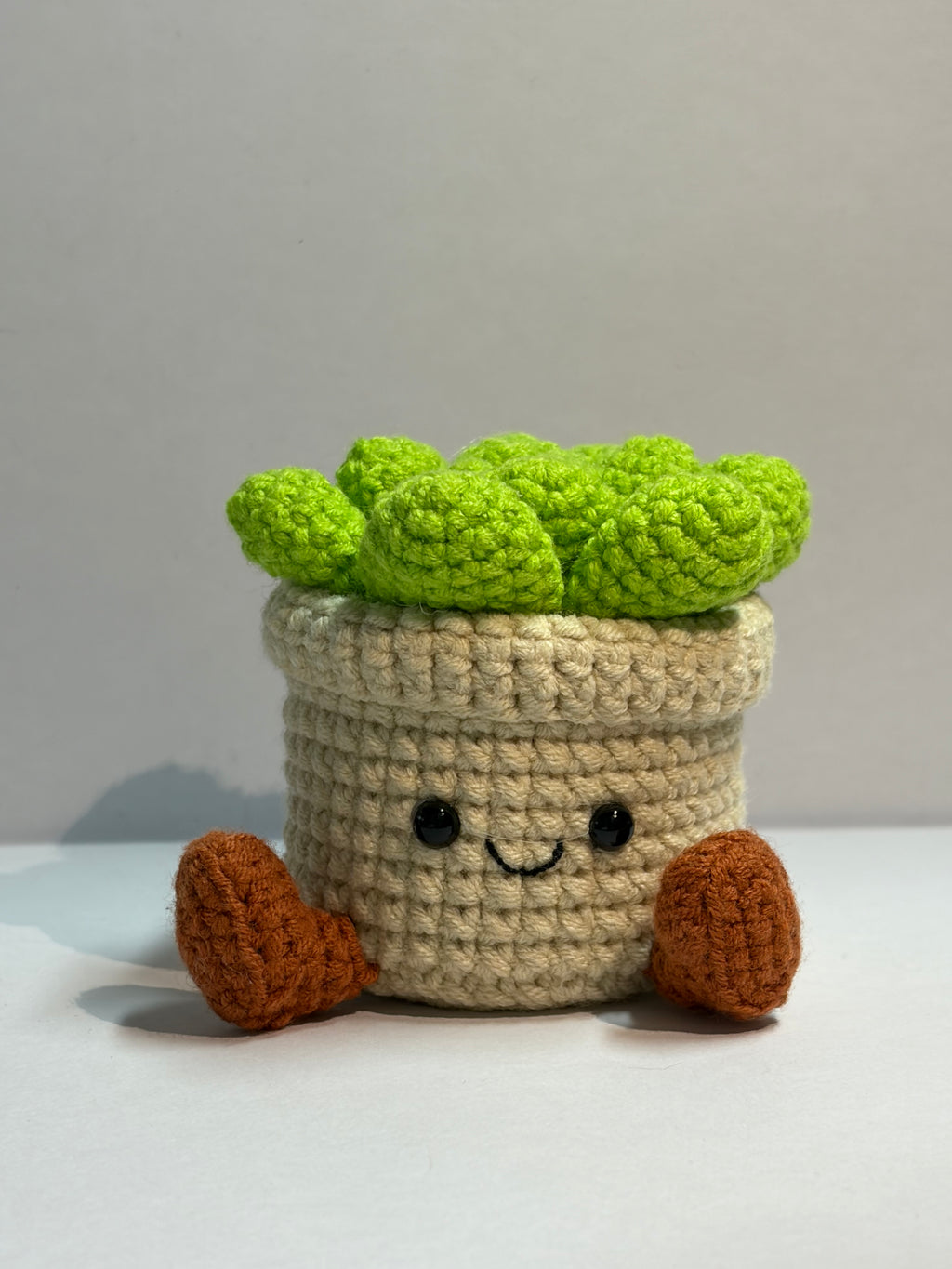 Crochet Succulent Smile Pot