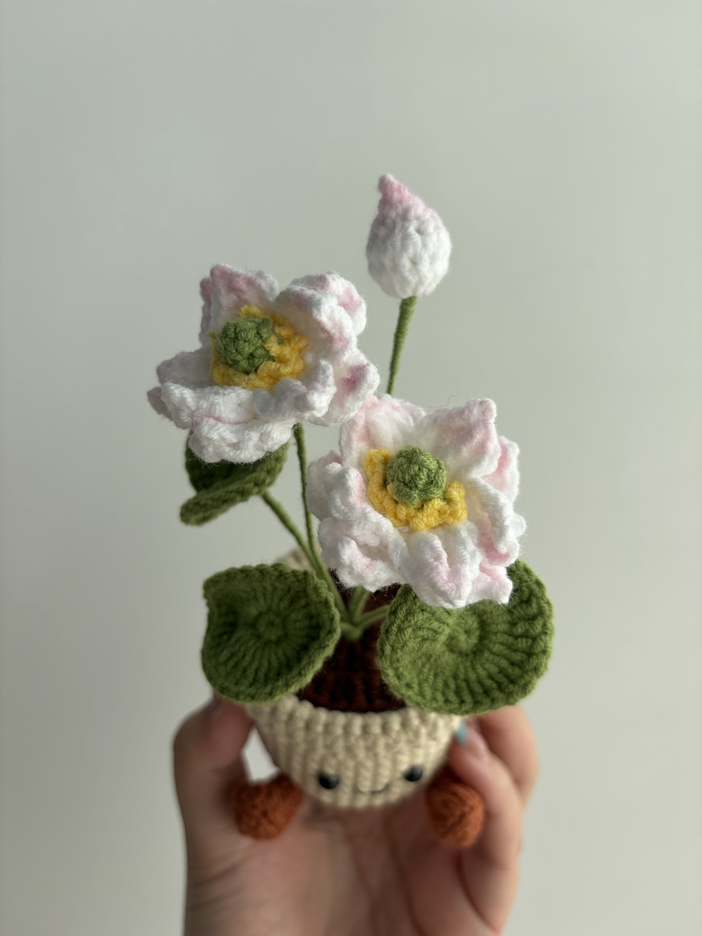 Crochet Lotus Smile Pot