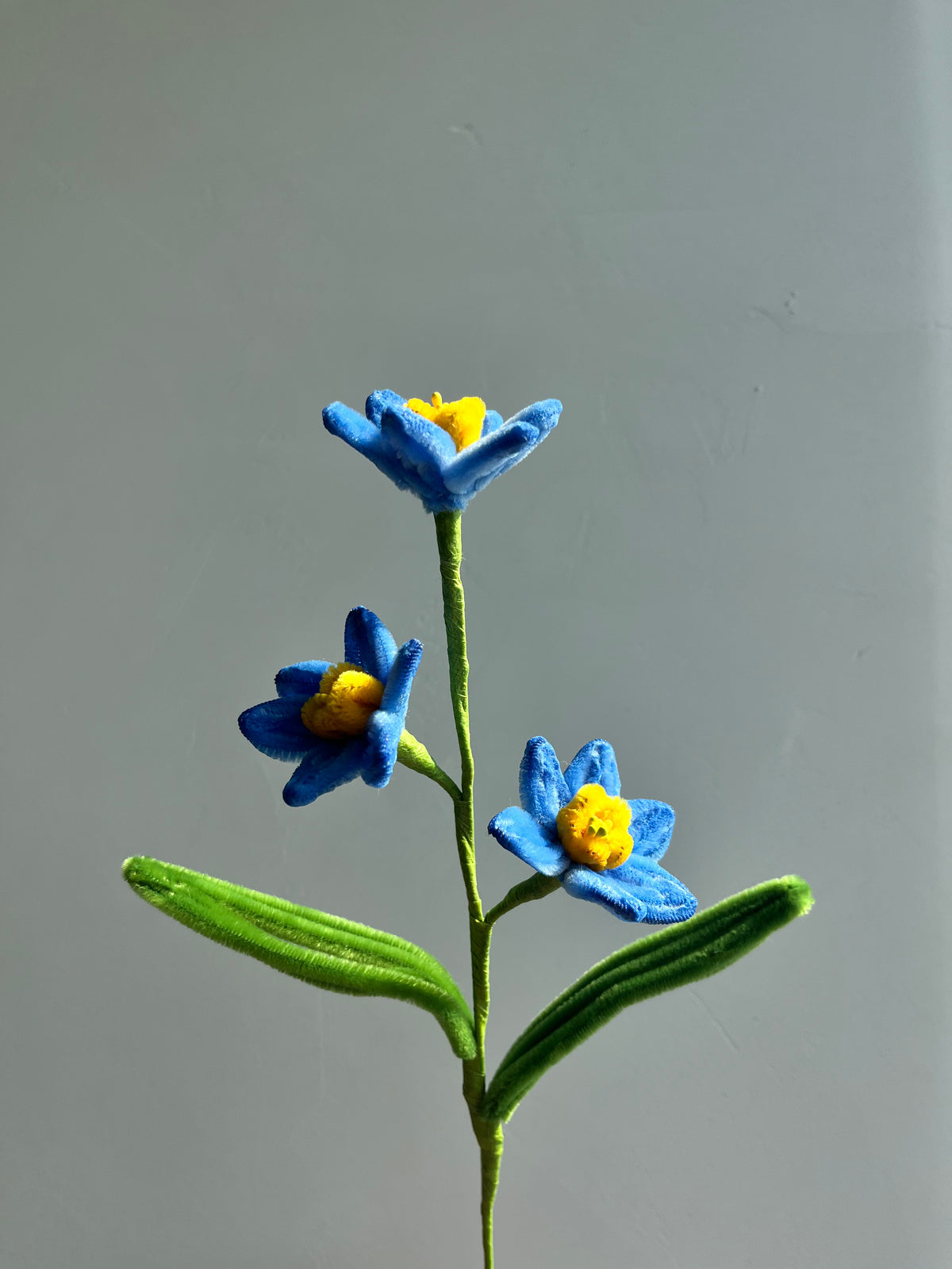 Narcissus Pipe Cleaner Flower
