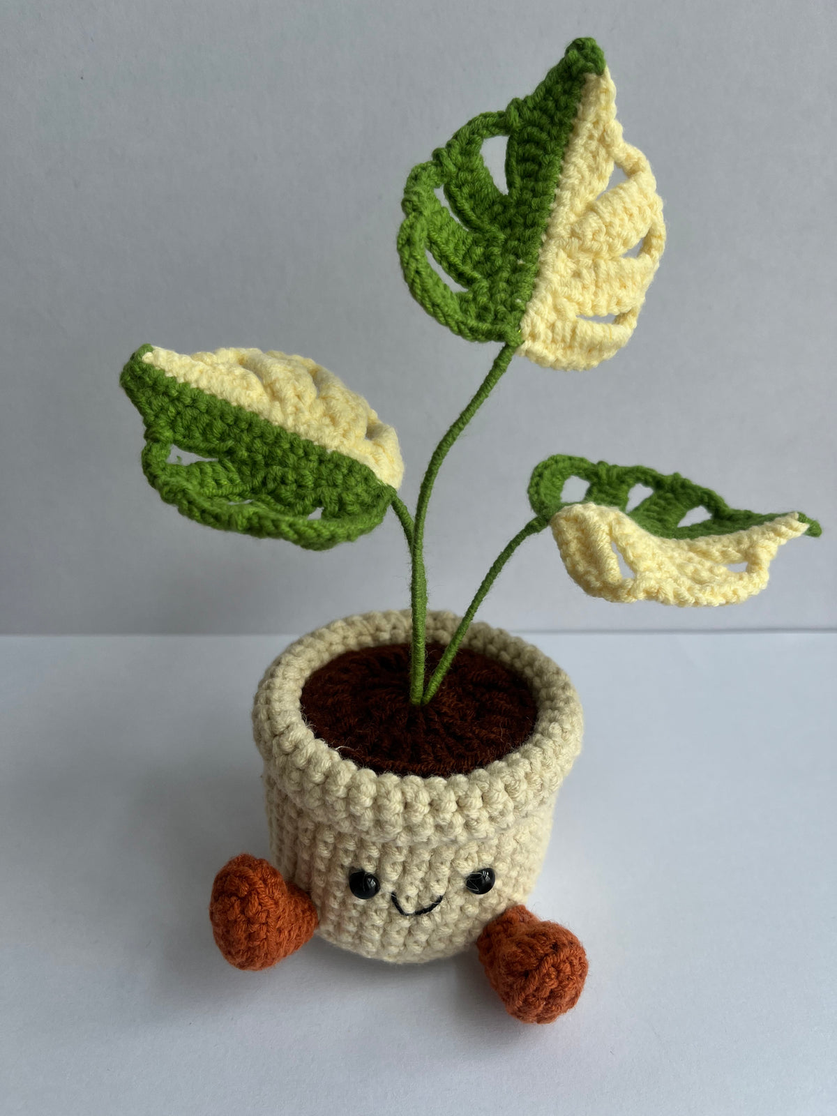 Crochet Monstera Smile Pot