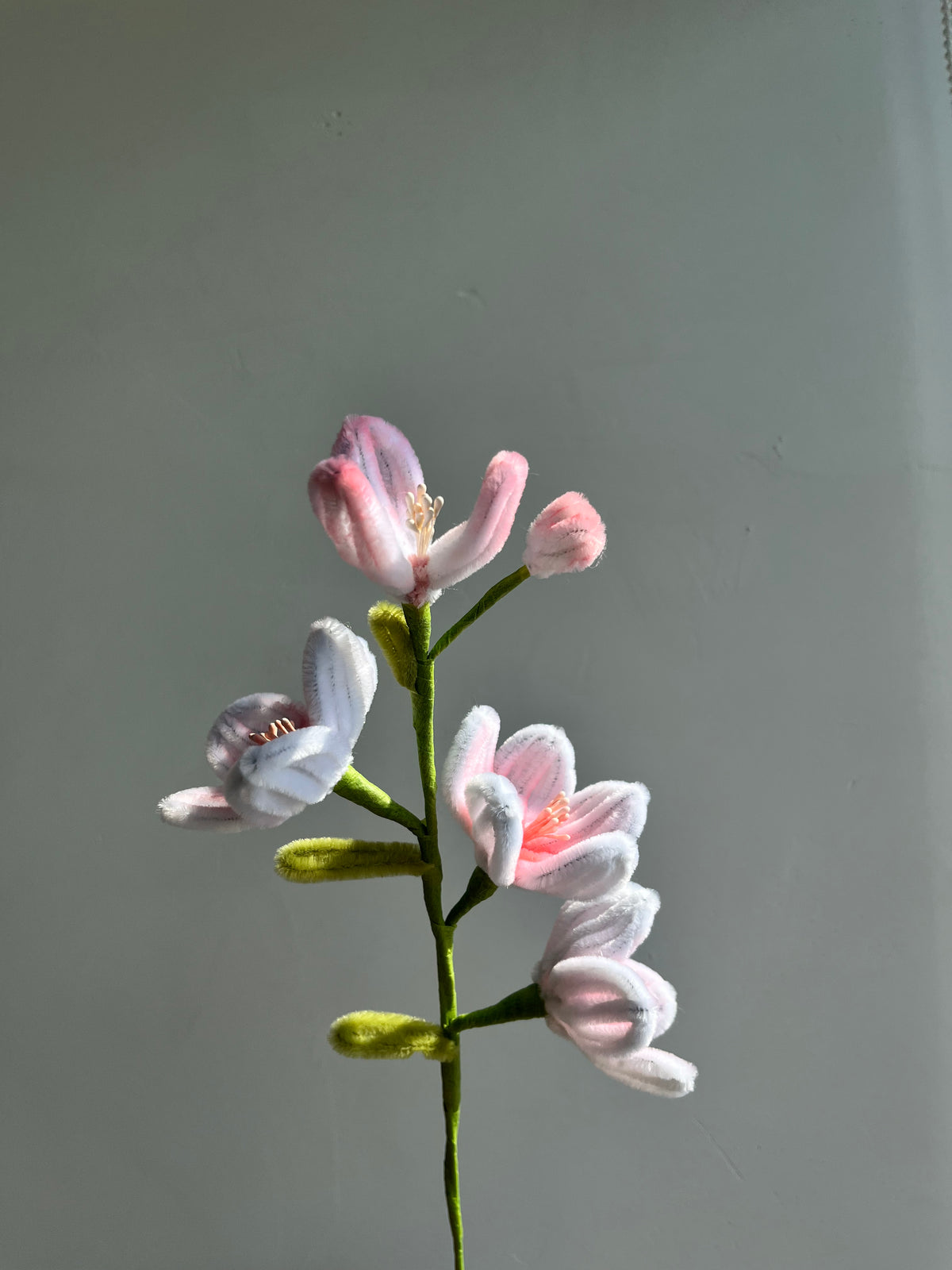 Winter Jasmine Pipe Cleaner Flower