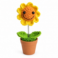 Crochet Fantasy Plant Pot Characters
