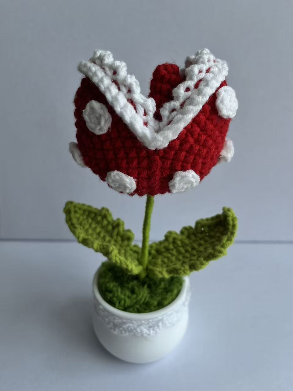 Crochet Spotted Bite Bloom Pot