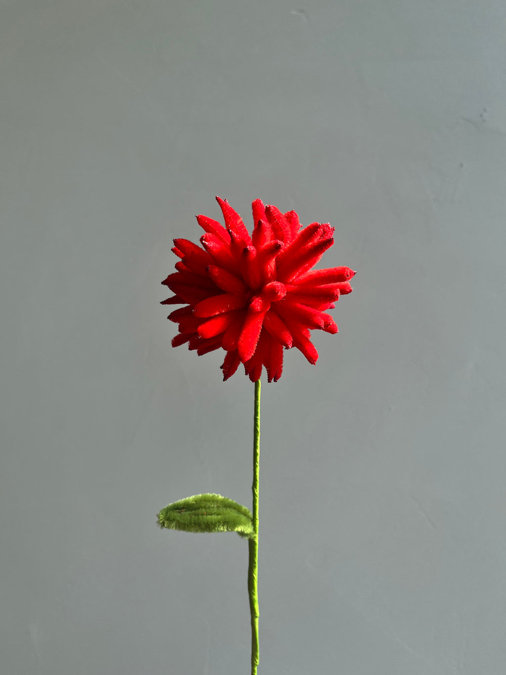 Ping Pong Chrysanthemum Pipe Cleaner Flower