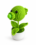 Crochet Bubble Bloom Pot