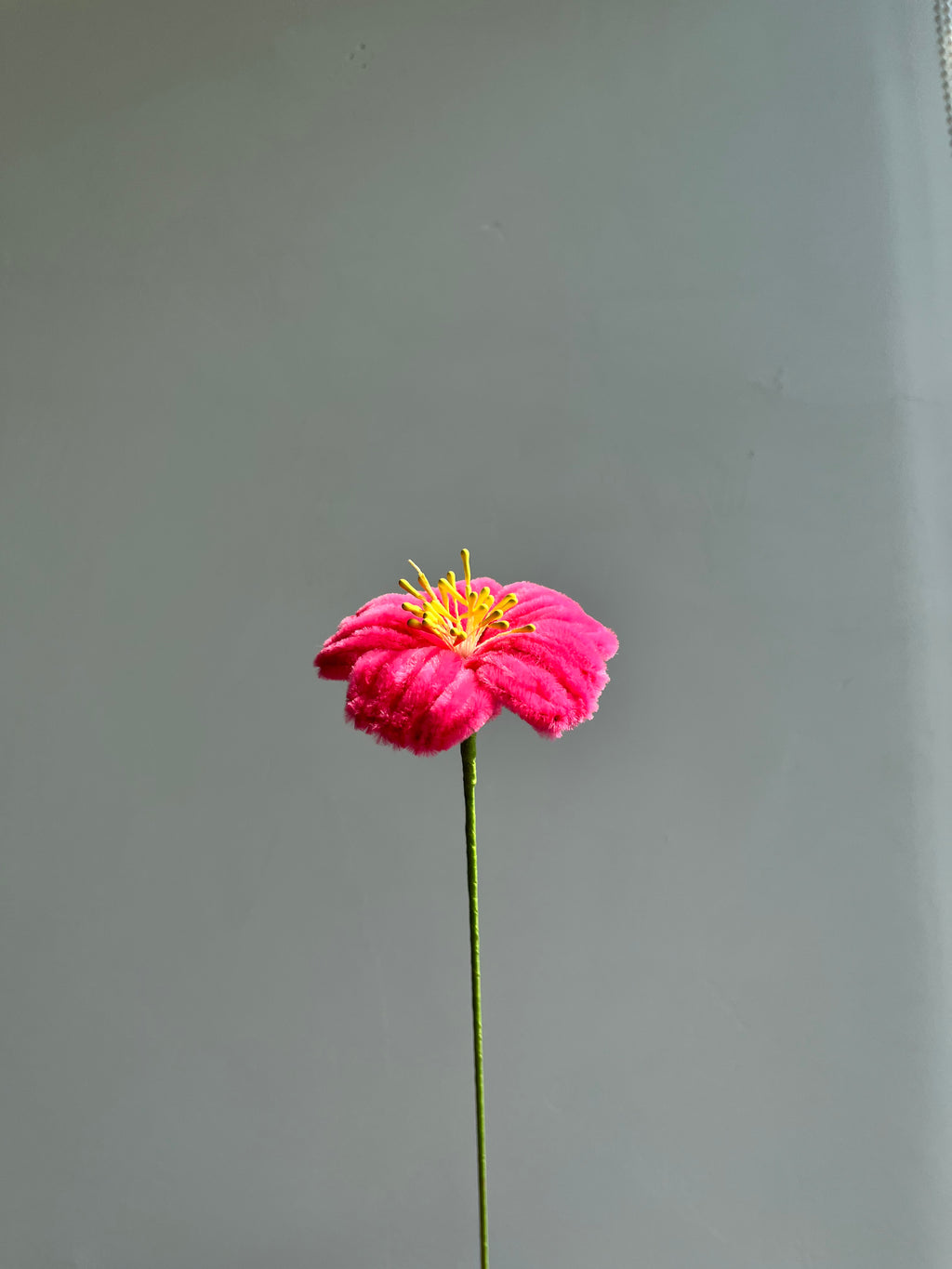 Hibiscus Pipe Cleaner Flower