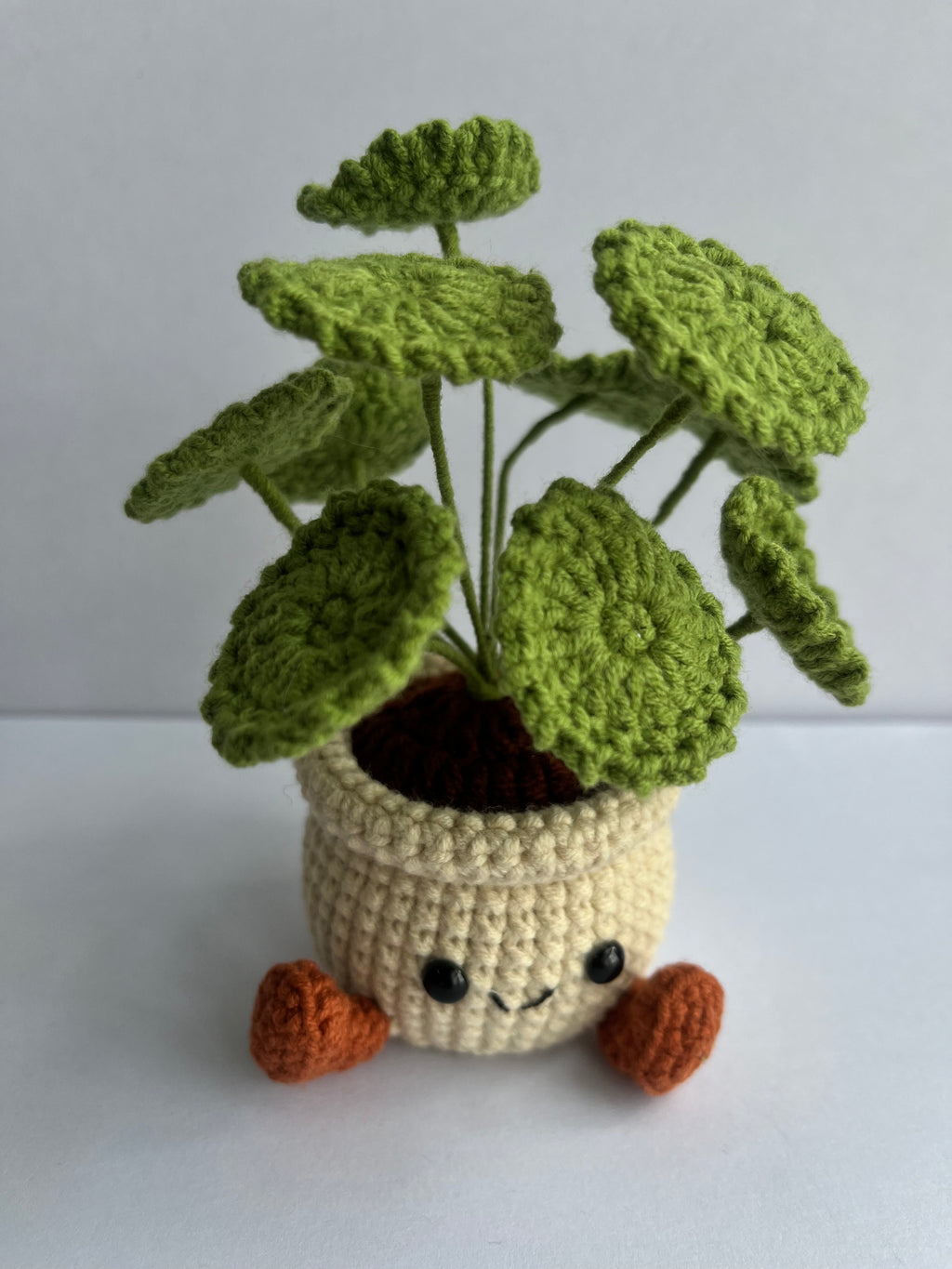Crochet Pennywort Smile Pot