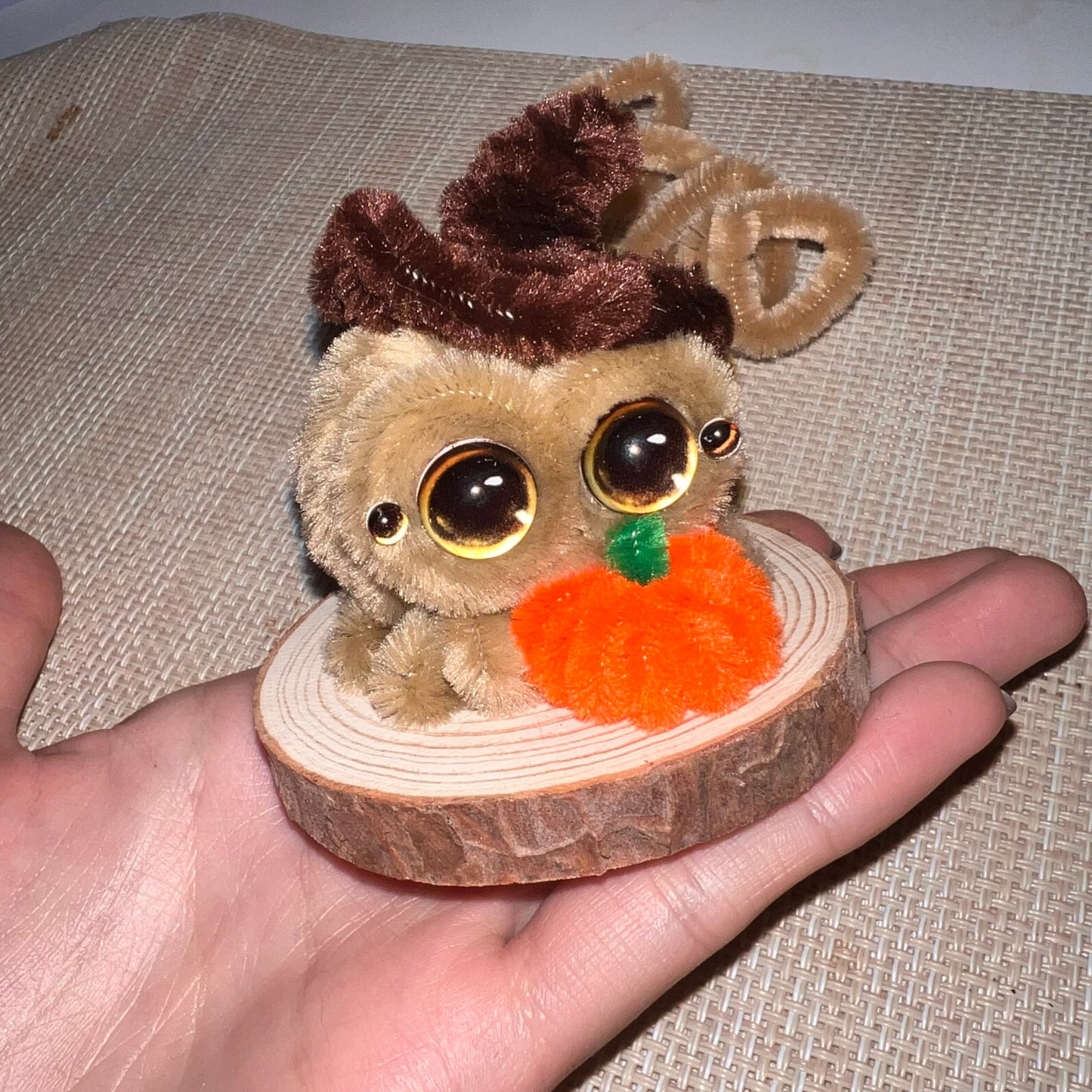 Lucas Bunny Costume Pipe Cleaner Jumping Spider Handmade Desk Ornament