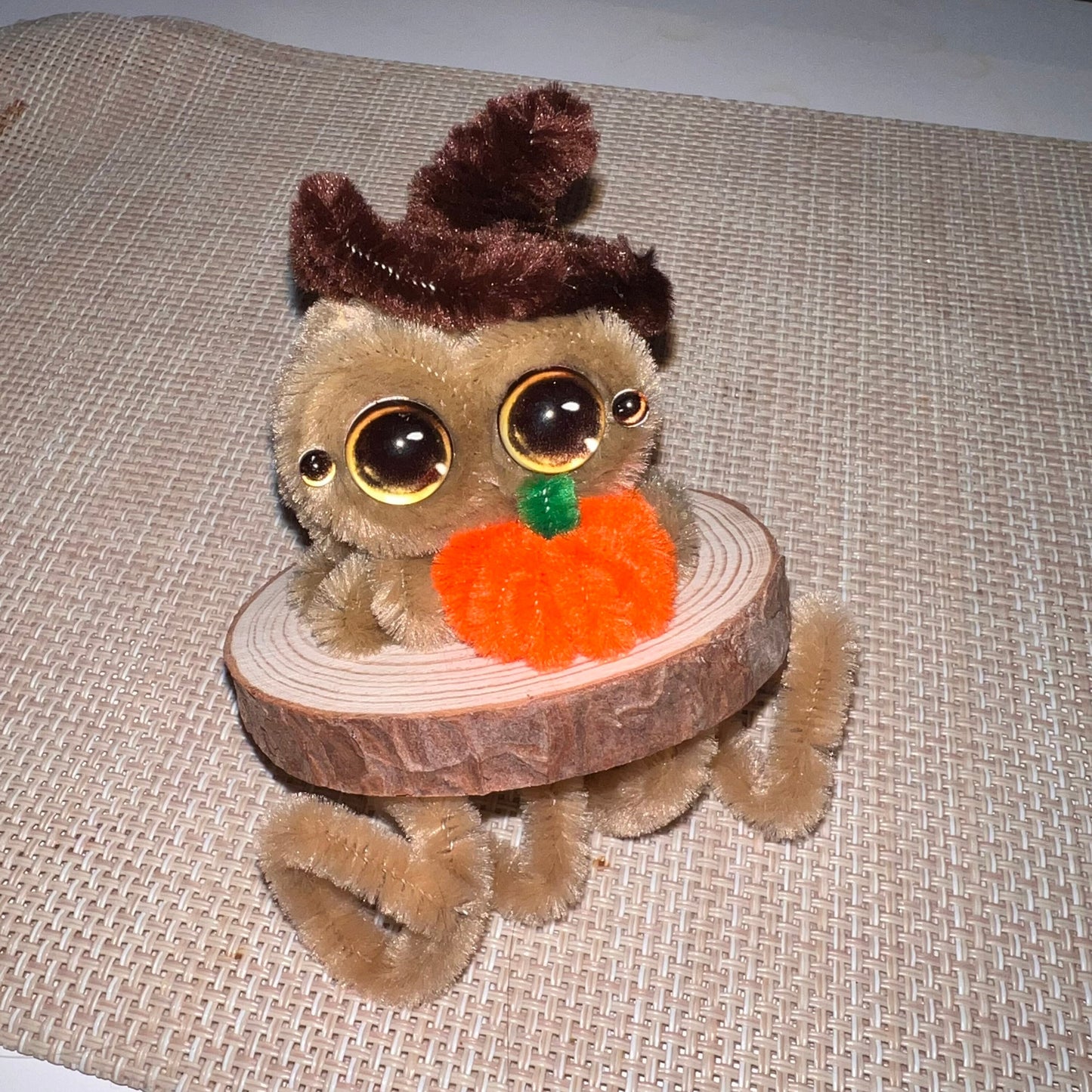 Lucas Bunny Costume Pipe Cleaner Jumping Spider Handmade Desk Ornament