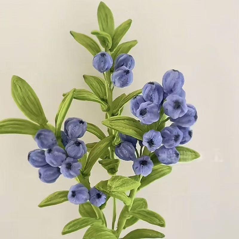 DIY BlueBerry Flower kit,Pipe Cleaner Set, Handmade Floral Craft, DIY Gift, Home Decor