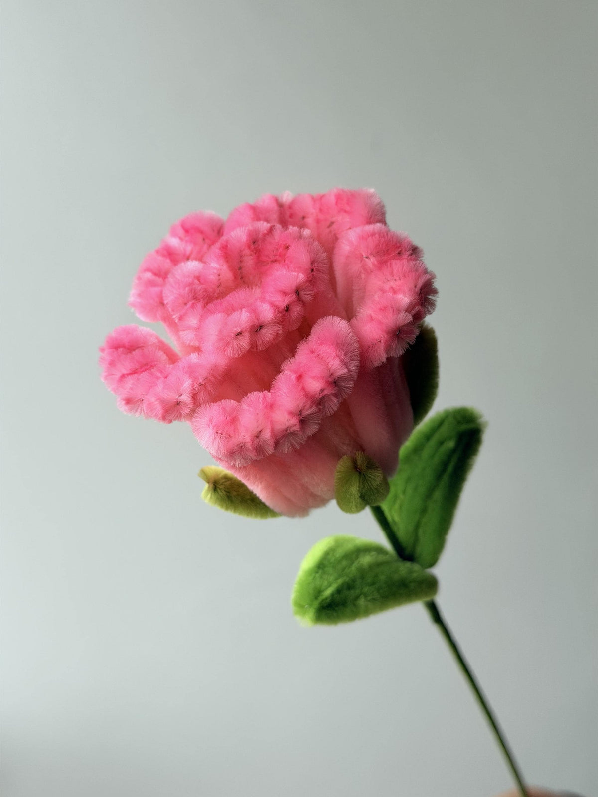 Handmade Pipe Cleaner Rose, Colorful Chenille Stem Flower, Single Faux Rose, Cute Gift, Floral Decor