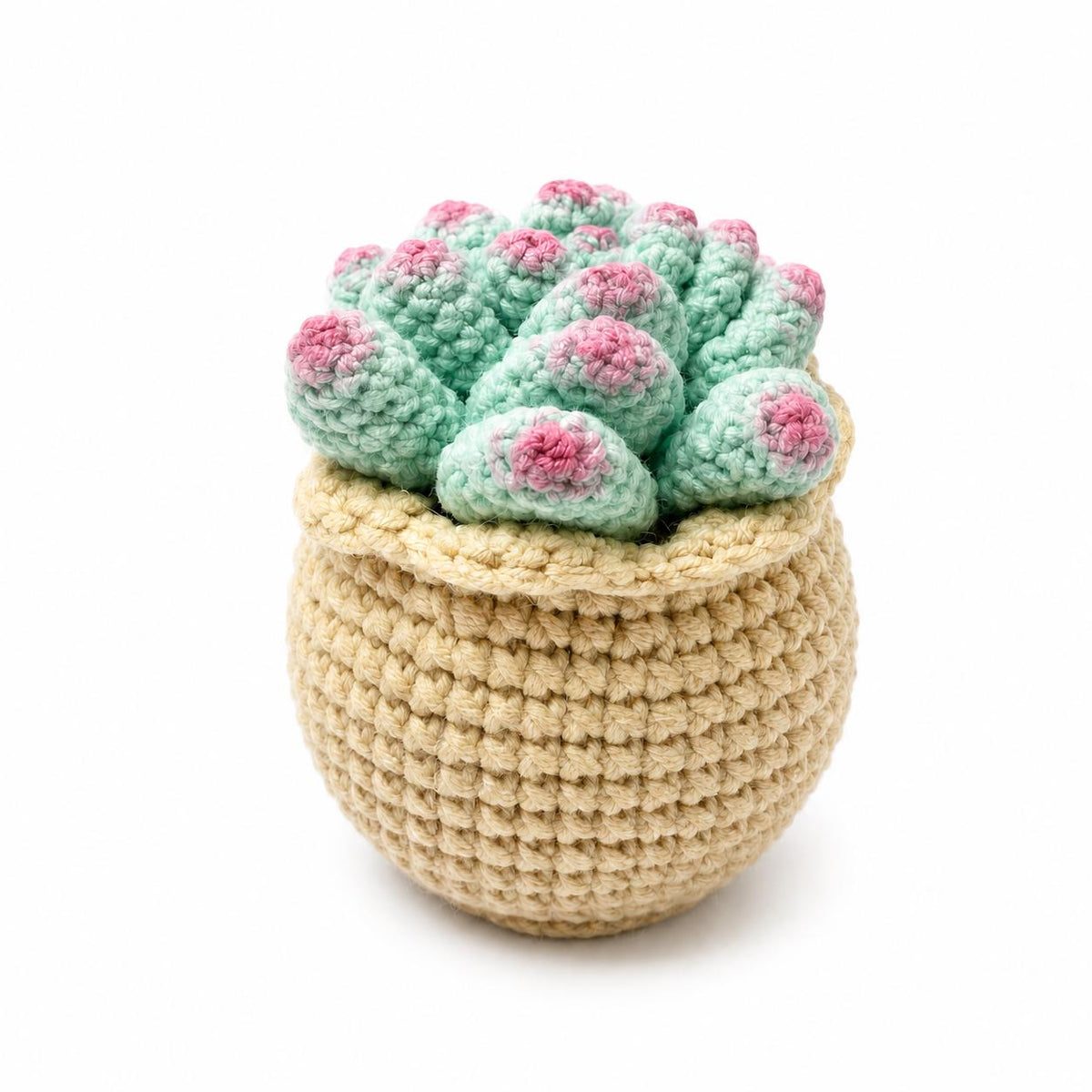 Crochet Small Succulent Pot, Handmade Yarn Plant Decor, Cute Succulent Gift, Botanical Home Decoration, Cottagecore Decor
