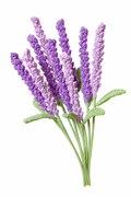 Lavender Crochet Flower Stem CF-030