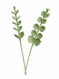 Eucalyptus Leaf Crochet Flower Stem CL-002