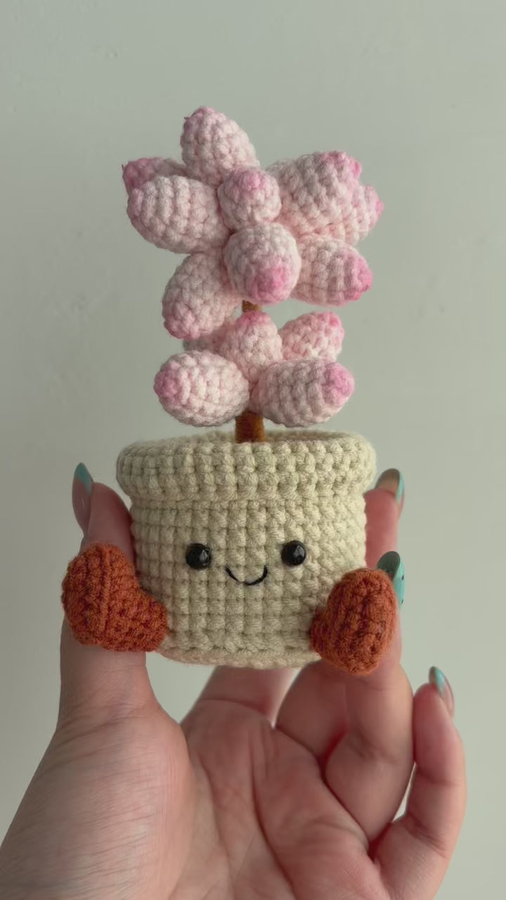 Crochet Blossom Ball Smile Pot