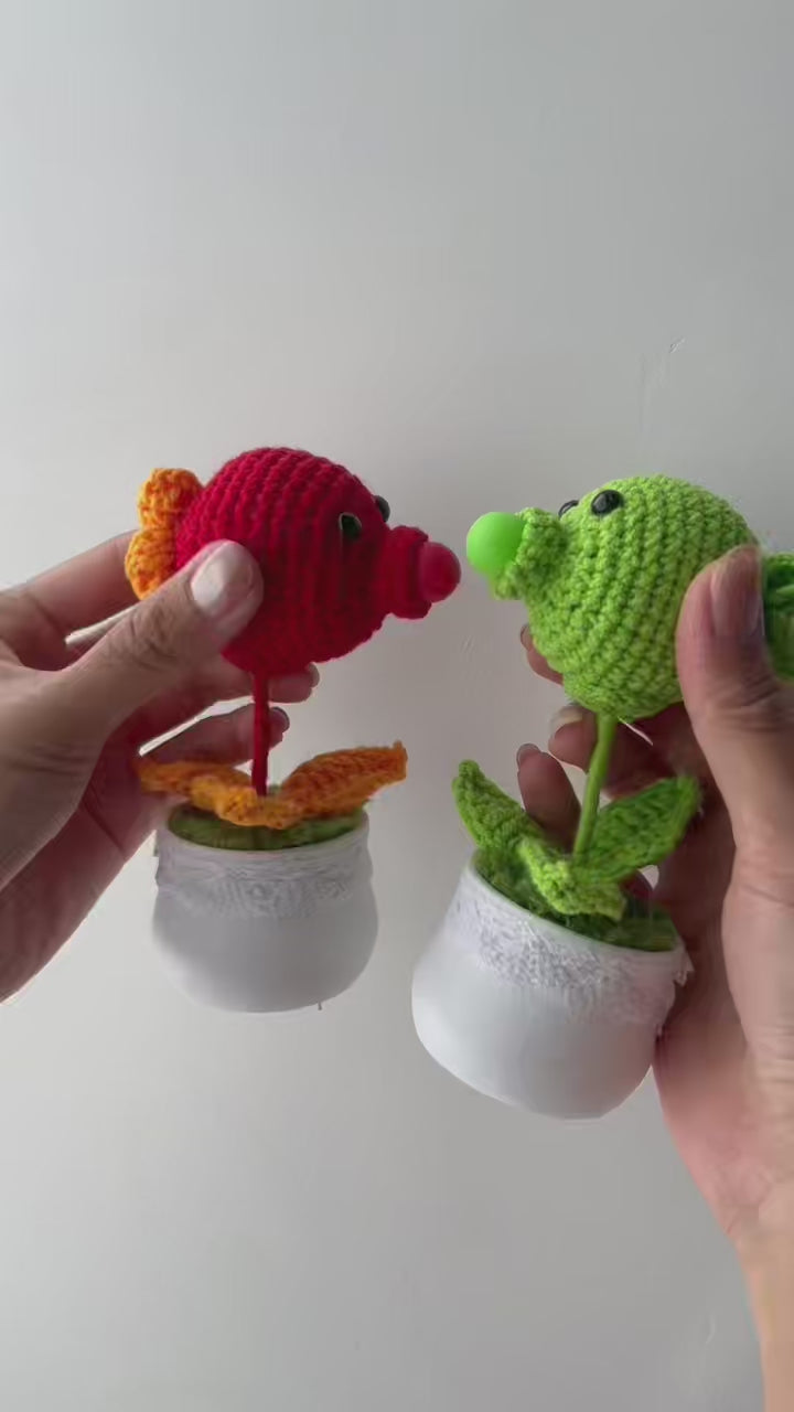 Crochet Bubble Bloom Pot