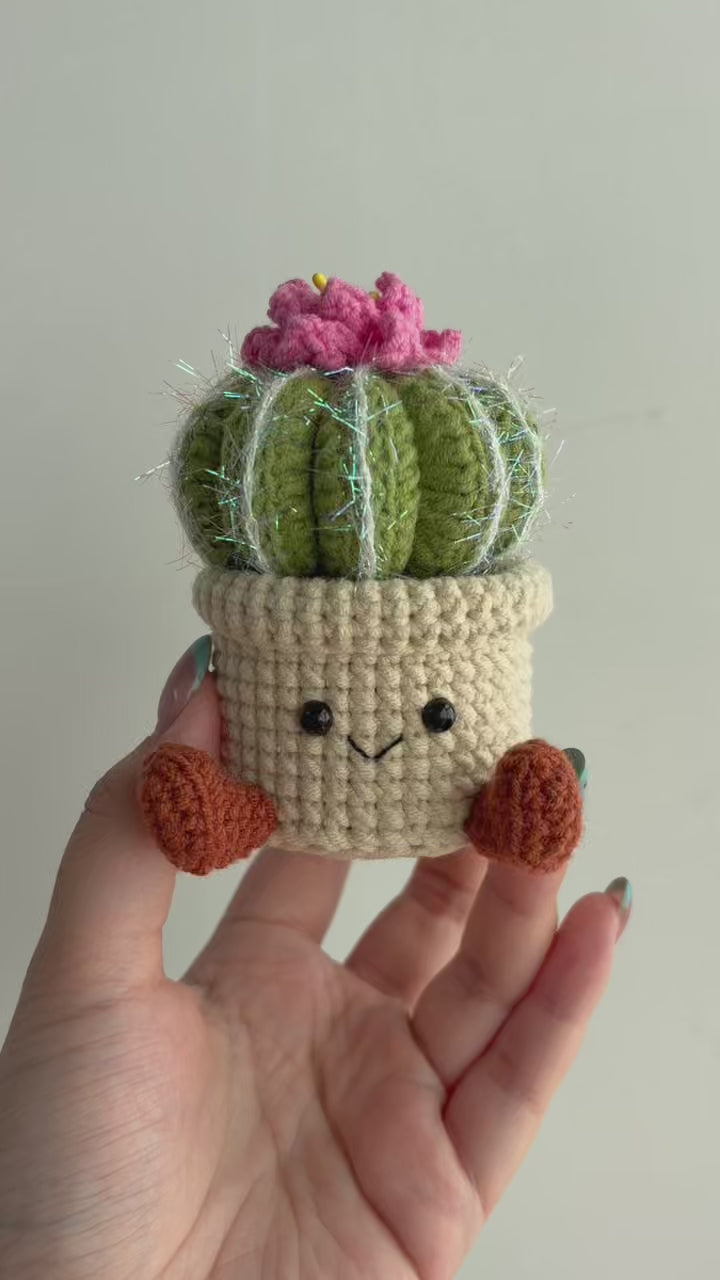 Crochet Cactus Smile Pot