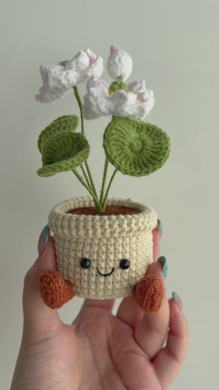 Crochet Lotus Smile Pot