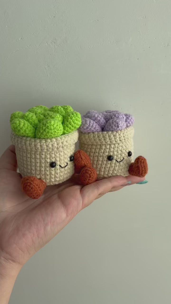 Crochet Succulent Smile Pot