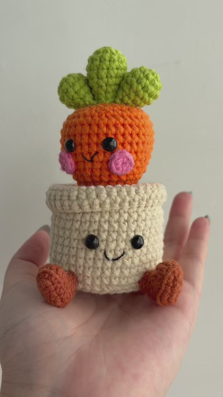 Crochet Carrot Smile Pot