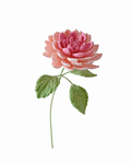 Dahlia Crochet Flower Stem