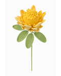 Protea Crochet Flower Stem